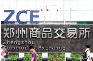 投資者必知 全國(guó)性交易所僅8家，警惕上海信息咨詢服務(wù)類陷阱
