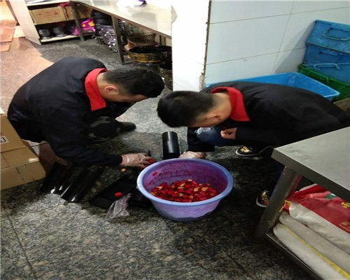 北京通州區(qū)食品廠滅臭蟲服務全解析 專業(yè)除蟲與公關策略