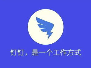 科技與金融的雙重奏 網易養(yǎng)豬眾籌與閱文上市背后的公關邏輯